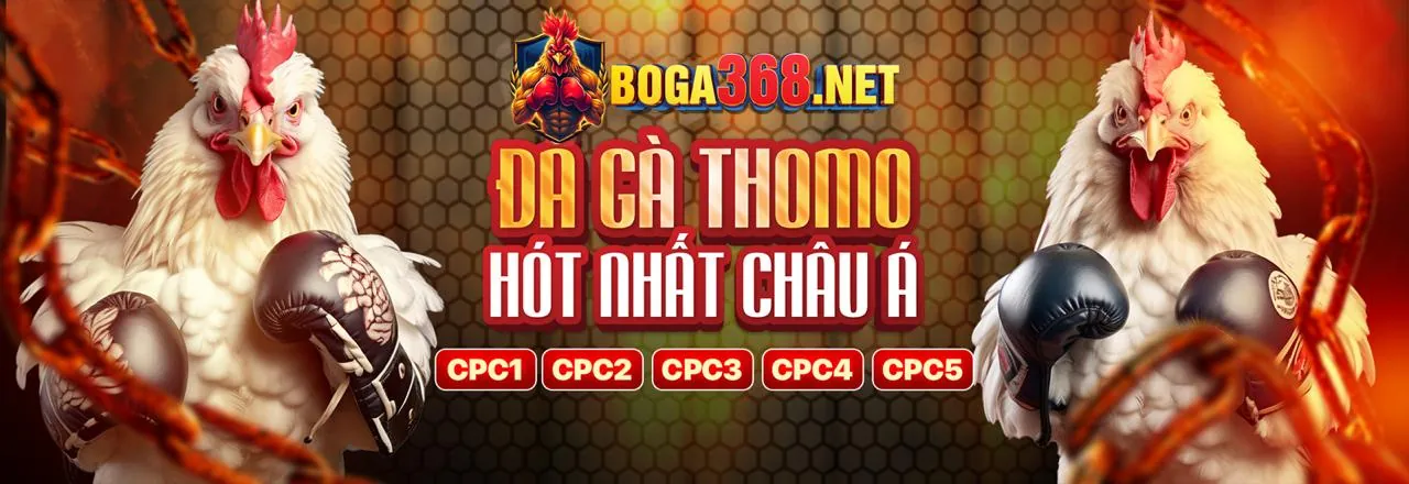 Sân vận động bóng đá với ánh sáng rực rỡ, biểu tượng cá cược thể thao mb33 win