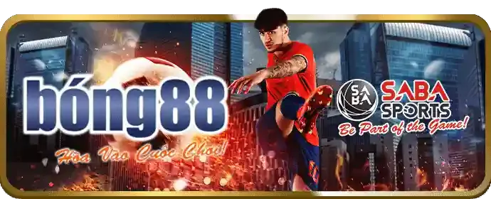 Các loại hình thể thao đa dạng tại mb33 win